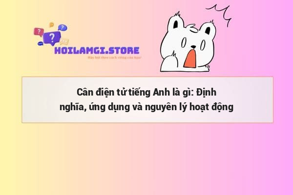 Cân điện tử tiếng Anh là gì: Định nghĩa, ứng dụng và nguyên lý hoạt động