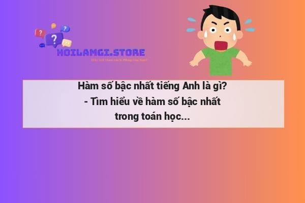 Hàm số bậc nhất tiếng Anh là gì? - Tìm hiểu về hàm số bậc nhất trong toán học