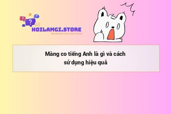 Màng co tiếng Anh là gì và cách sử dụng hiệu quả