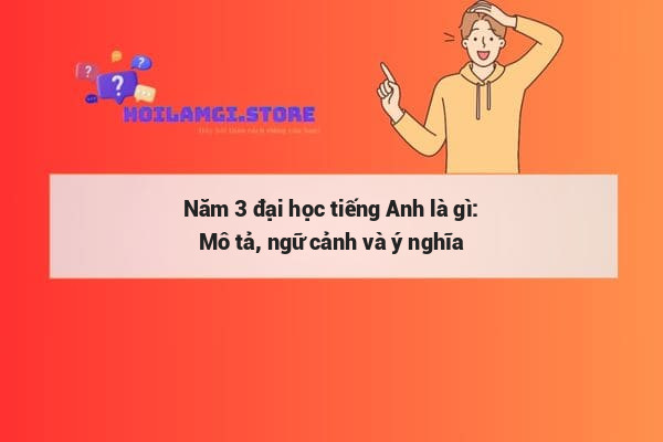 Năm 3 đại học tiếng Anh là gì: Mô tả, ngữ cảnh và ý nghĩa