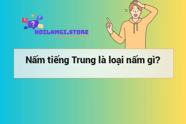 Nấm tiếng Trung là loại nấm gì?