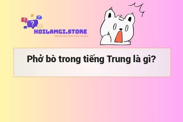 Phở bò trong tiếng Trung là gì?