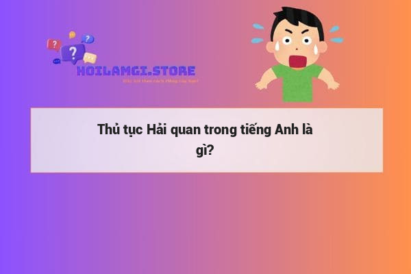 Thủ tục Hải quan trong tiếng Anh là gì?