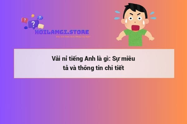 Vải nỉ tiếng Anh là gì: Sự miêu tả và thông tin chi tiết